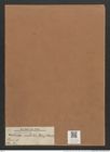 Navicula nobilis (Ehr.) Kuetz. (de-Toni-Nr.: Genus 1, Species 1) Zeichnungen Sammlung Grunow Mappe 00001 (Herbarium_W_Grunow_drawings_Folder_00001)